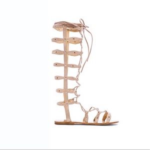 RAYE SHANNA TALL GLADIATOR SANDAL